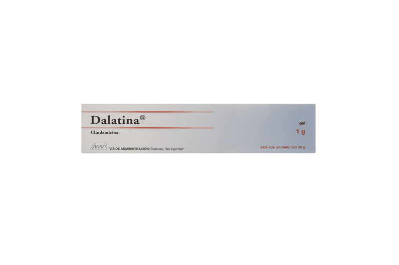 CLINDAMICINA 1G GEL 30G  DALATINA